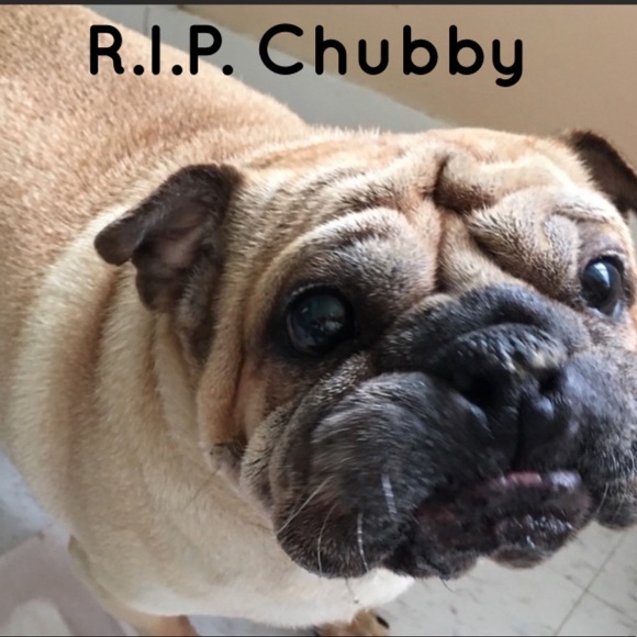 Meet your Posher, Tania - Picture 15 of 16